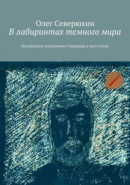 Олег Северюхин В лабиринтах темного мира. Похождения полковника Северцева в трех томах обложка книги