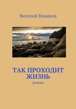 Виталий Новиков Так проходит жизнь. роман обложка книги