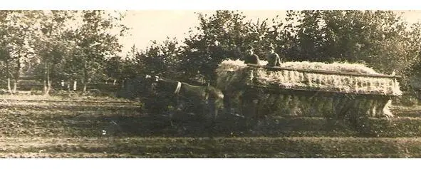 Весна 1926 року Весною 1926 року комуна Нива Трудова знову приїхала до м - фото 6