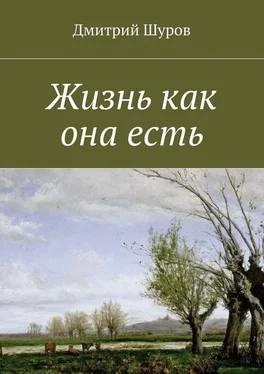 Дмитрий Шуров Жизнь как она есть обложка книги