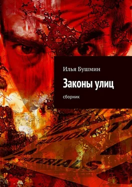 Илья Бушмин Законы улиц. сборник обложка книги