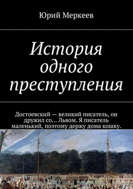 Юрий Меркеев История одного преступления обложка книги