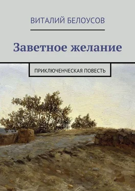 Виталий Белоусов Заветное желание. Приключенческая повесть обложка книги