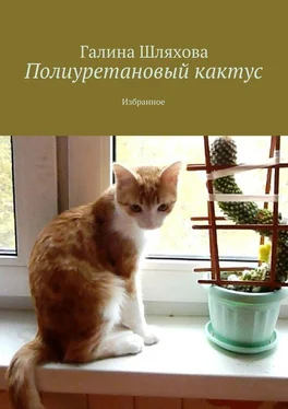 Галина Шляхова Полиуретановый кактус. Избранное обложка книги