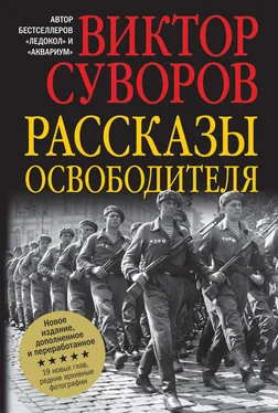 Виктор Суворов Рассказы освободителя обложка книги