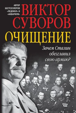 Виктор Суворов Очищение. Зачем Сталин обезглавил свою армию?