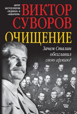 Виктор Суворов Очищение. Зачем Сталин обезглавил свою армию? обложка книги