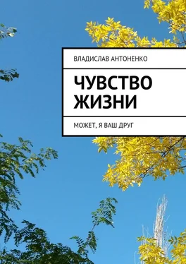 Владислав Антоненко Чувство жизни. Может, я ваш друг обложка книги