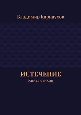 Владимир Карнаухов Истечение. Книга стихов обложка книги