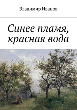 Владимир Иванов Синее пламя, красная вода обложка книги