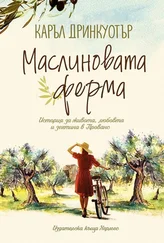 Каръл Дринкуотър - Маслиновата ферма