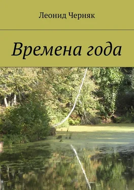 Леонид Черняк Времена года обложка книги