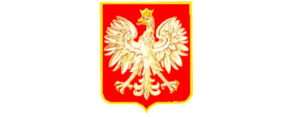 В годы II мировой войны для 1й дивизии пехоты имени Тадеуша Косцюшко был - фото 194