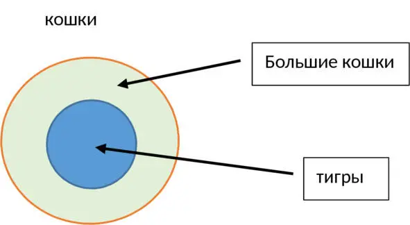 Понятие с большим объемом внешний круг является родовым для понятия с меньшим - фото 3