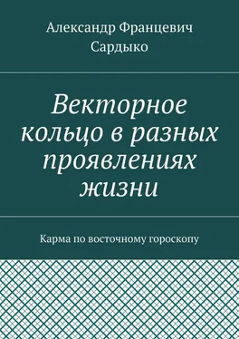 Александр Сардыко Векторное кольцо в разных проявлениях жизни. Карма по восточному гороскопу обложка книги