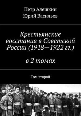 Юрий Васильев Крестьянские восстания в Советской России (1918—1922 гг.) в 2 томах. Том второй обложка книги