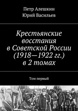 Юрий Васильев Крестьянские восстания в Советской России (1918—1922 гг.) в 2 томах. Том первый обложка книги