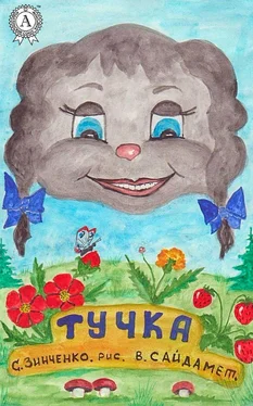 Сергей Зинченко Тучка обложка книги