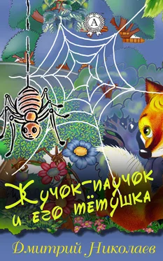 Дмитрий Николаев Жучок-паучок и его тётушка обложка книги