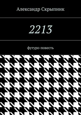 Александр Скрыпник 2213. футуро-повесть обложка книги