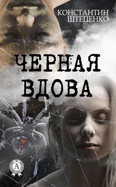 Константин Штепенко Черная Вдова обложка книги
