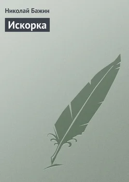 Николай Бажин Искорка обложка книги