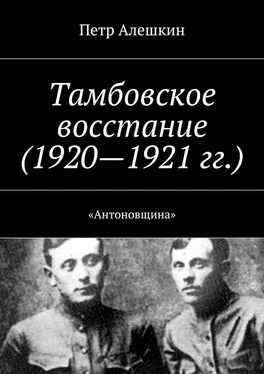 Петр Алешкин Тамбовское восстание (1920—1921 гг.). «Антоновщина» обложка книги