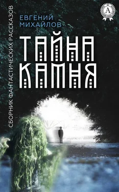 Евгений Михайлов Тайна камня обложка книги