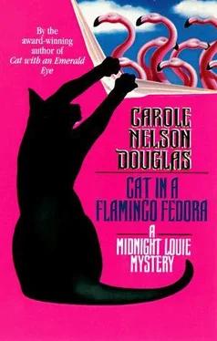 Douglas, Nelson Cat in a Flamingo Fedora обложка книги