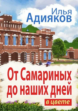 Илья Адияков От Самариных до наших дней. В цвете обложка книги