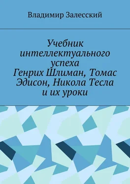 Владимир Залесский Учебник интеллектуального успеха. Генрих Шлиман, Томас Эдисон, Никола Тесла и их уроки обложка книги