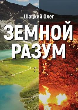 Олег Шацкий Земной разум обложка книги