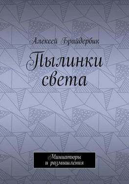 Алексей Брайдербик Пылинки света. Миниатюры и размышления обложка книги