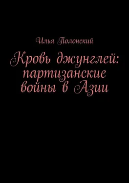 Илья Полонский Кровь джунглей: партизанские войны в Азии обложка книги