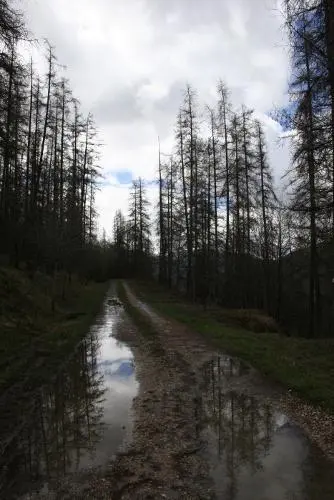 Piste du bois de Vacheresse Servane saccrochait à la poignée pour limiter - фото 6
