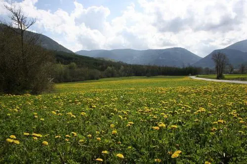 Route de ChâteauGarnier ma mère vit à ChâteauGarnier pas très loin de - фото 9