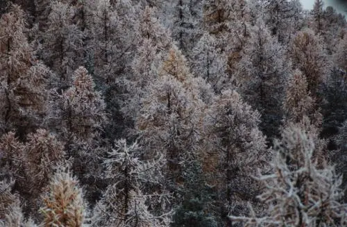 Marmotte Le soleil apparut enfin et même sils évitèrent de se confier - фото 45