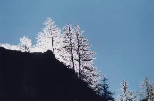 Le soleil apparut enfin et même sils évitèrent de se confier lun à - фото 47