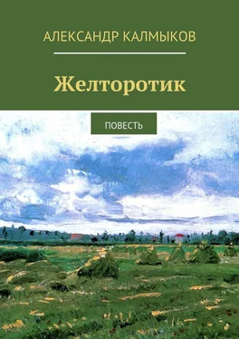 Александр Калмыков Желторотик. Повесть обложка книги