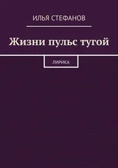 Илья Стефанов - Жизни пульс тугой. Лирика