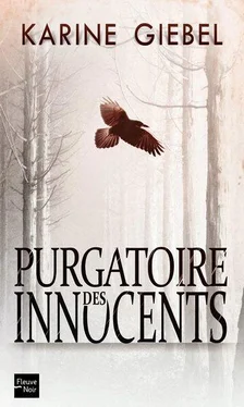 Karine Giébel Purgatoire des innocents обложка книги