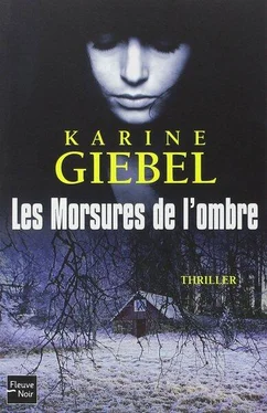 Karine Giébel Les morsures de l'ombre обложка книги