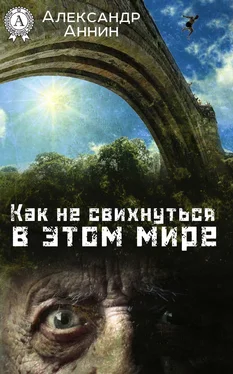 Александр Аннин Как не свихнуться в этом мире обложка книги