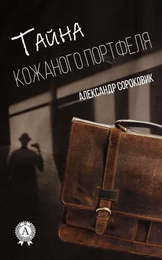 Александр Сороковик Тайна кожаного портфеля обложка книги