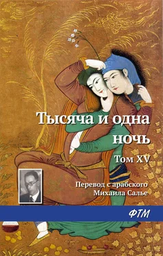 Эпосы, легенды и сказания Тысяча и одна ночь. Том XV обложка книги