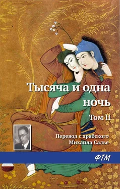 Эпосы, легенды и сказания Тысяча и одна ночь. Том II обложка книги