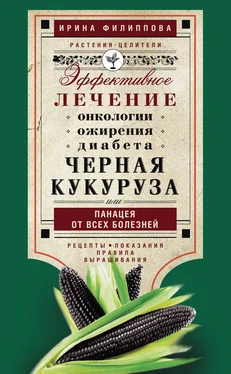 Ирина Филиппова Черная кукуруза, или Панацея от всех болезней. Эффективное лечение онкологии, ожирения, диабета… обложка книги