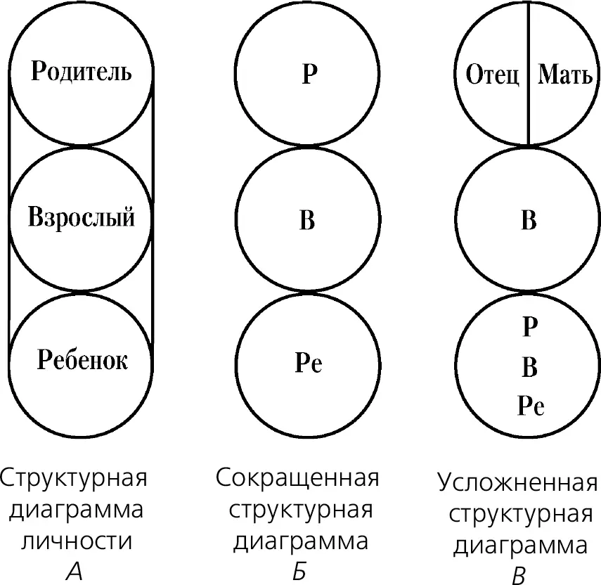 Рис 1 Для описания разных явлений используются термины которые понятны сами - фото 9