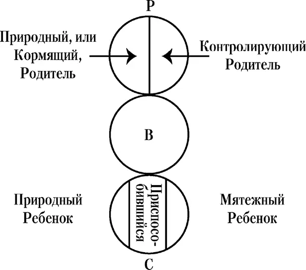 Рис 1Г Описательные аспекты личности Б Трансакционный анализ Как видно - фото 10
