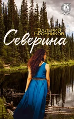 Валерий Бронников - Северина